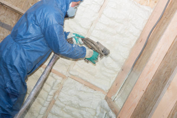 Best Garage Insulation  in Coleraine, MN